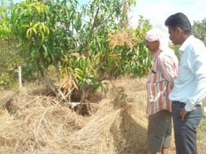 KUMAR BHAGAVAT AND LINGARAJ H INSPECTING A HIDE IN MANDHYALA MADE FOR HUNTING SPOTTED DEER OR ANTILOPE