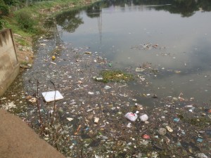 HVhalli lake waste (3)